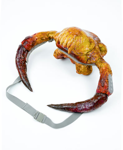 Headcrab
